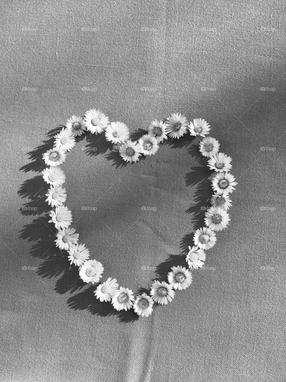 Love heart with flowers