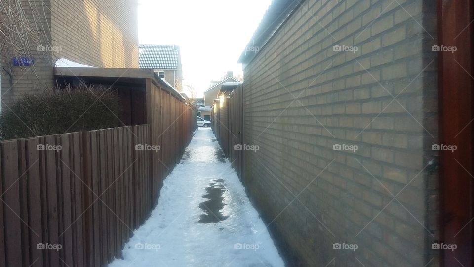 The Fleur street in the netherlands