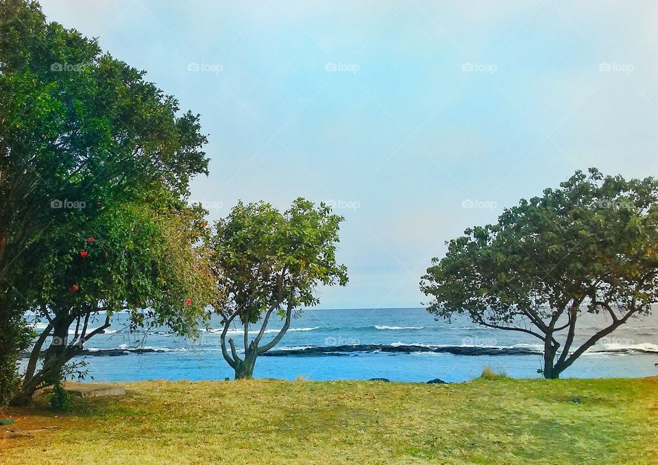 Hawai'i beach park 2