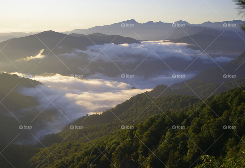 Morning fog in the mountains