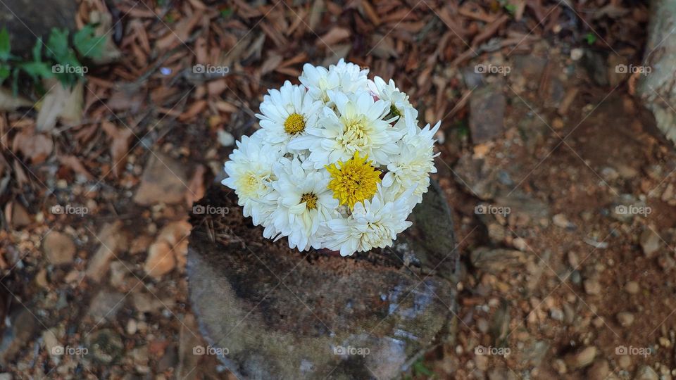 Beautiful white flowers in a colourful flowerpot with a flower sculpture, Flowers in a vase, colourful vase, white flowers in a vase