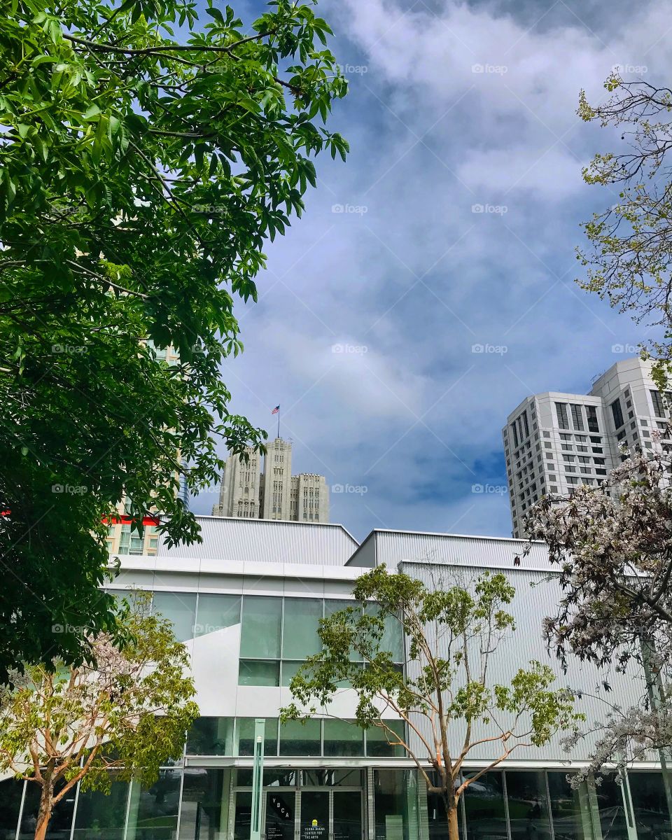 Chasing Clouds in San Francisco 