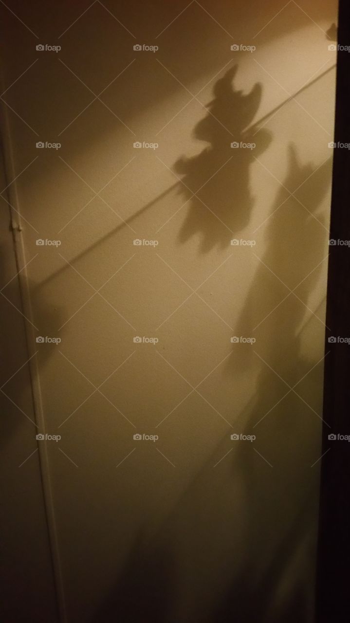 Dragon shadow on the  wall
