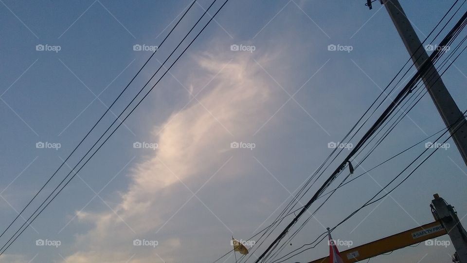 Is it a rabbit or a deer in the sky? Tell me, please.