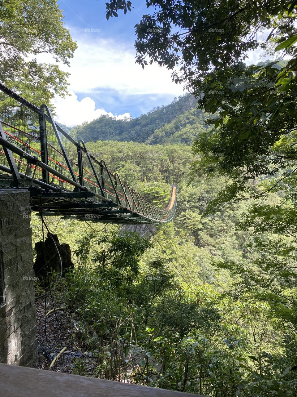 A suspension bridge above the valley.