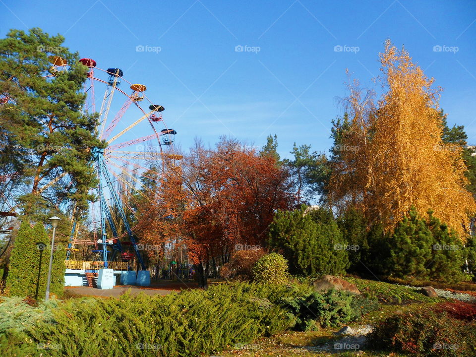 early autumn in the park of Kiev