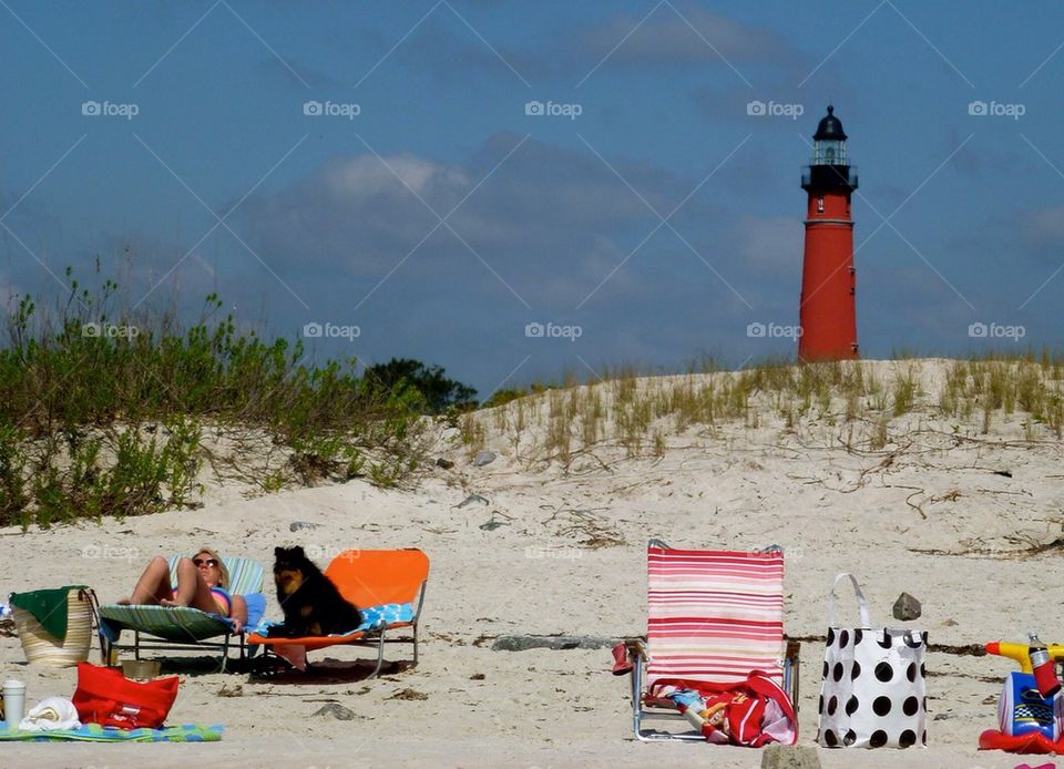 Dog beach, lighthouse in background, Florida 