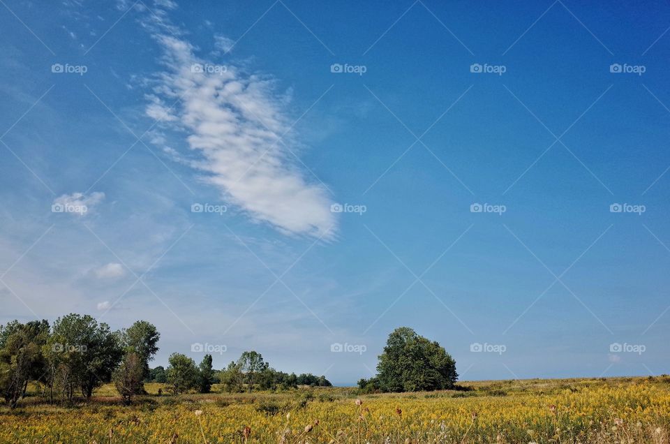 Wisconsin Landscape...