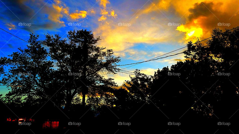 Tree in silhouette with clouds and sunset