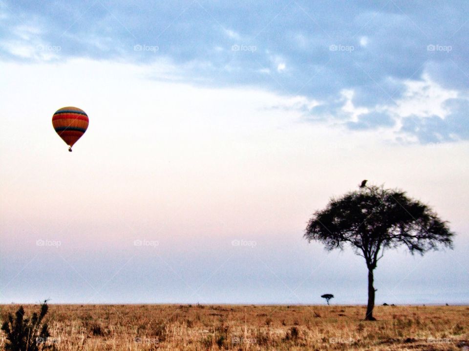 Balloon over Masai Mara