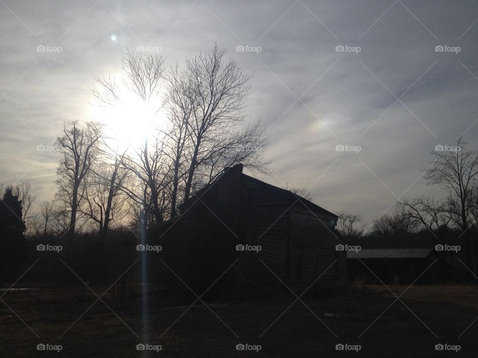 Winter day on the farm