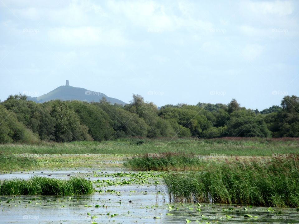 Shapwick heath national nature reserve and in the distance Glastonbury tor