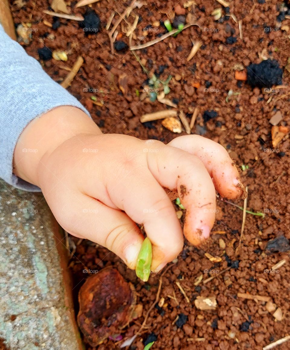Tem coisa mais linda, mais interessante do que a curiosidade de uma criança? A mãozinha inquieta revela essa curiosidade nata.