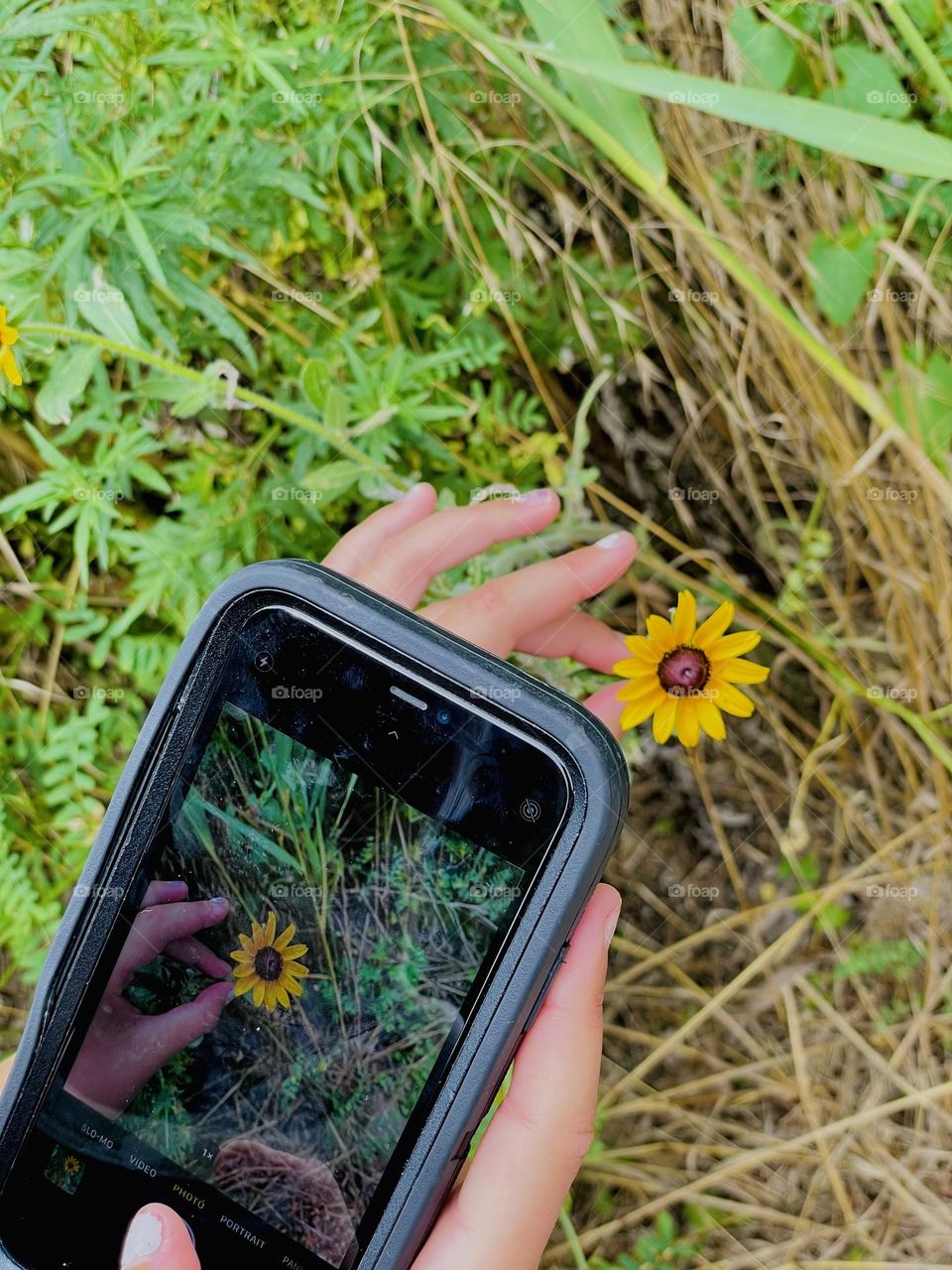 Taking a photo with phone 