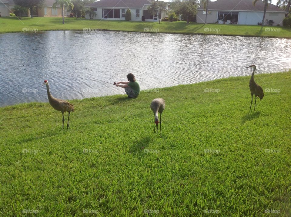 My boy fishing with the birds.