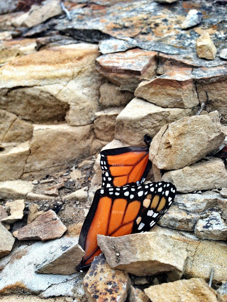 It's the little things 