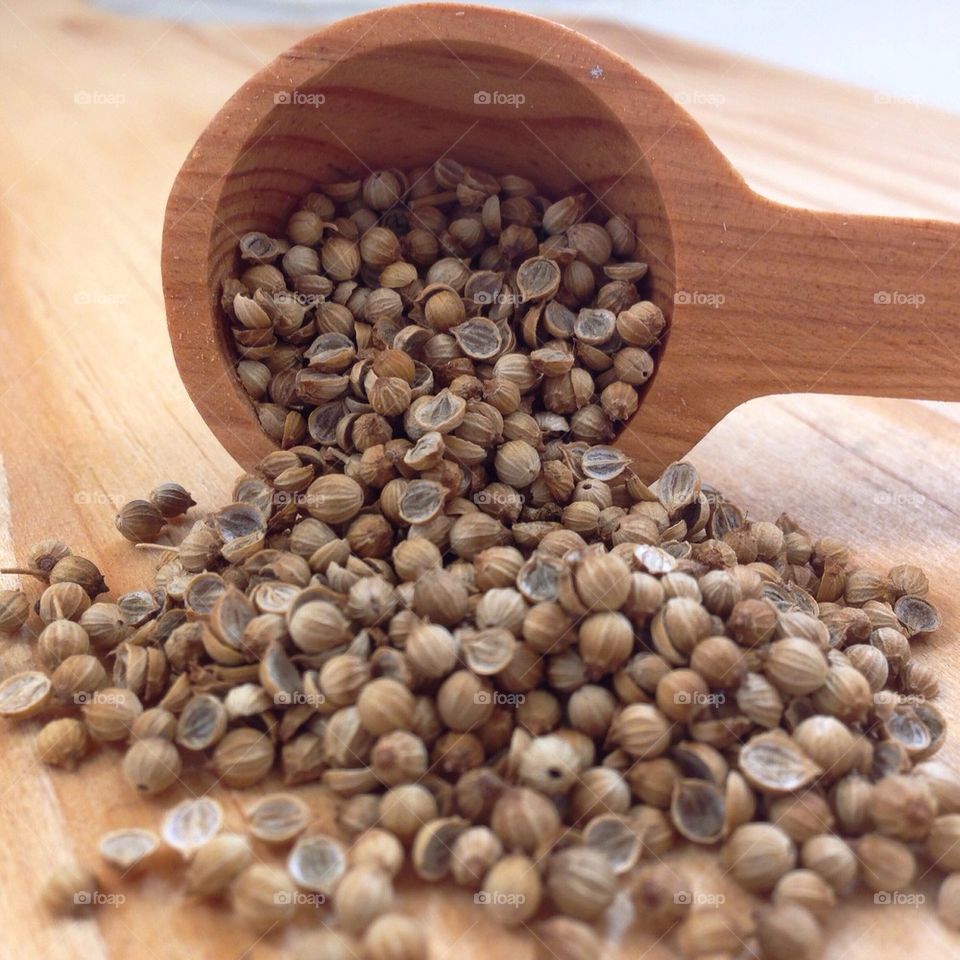 Coriander 