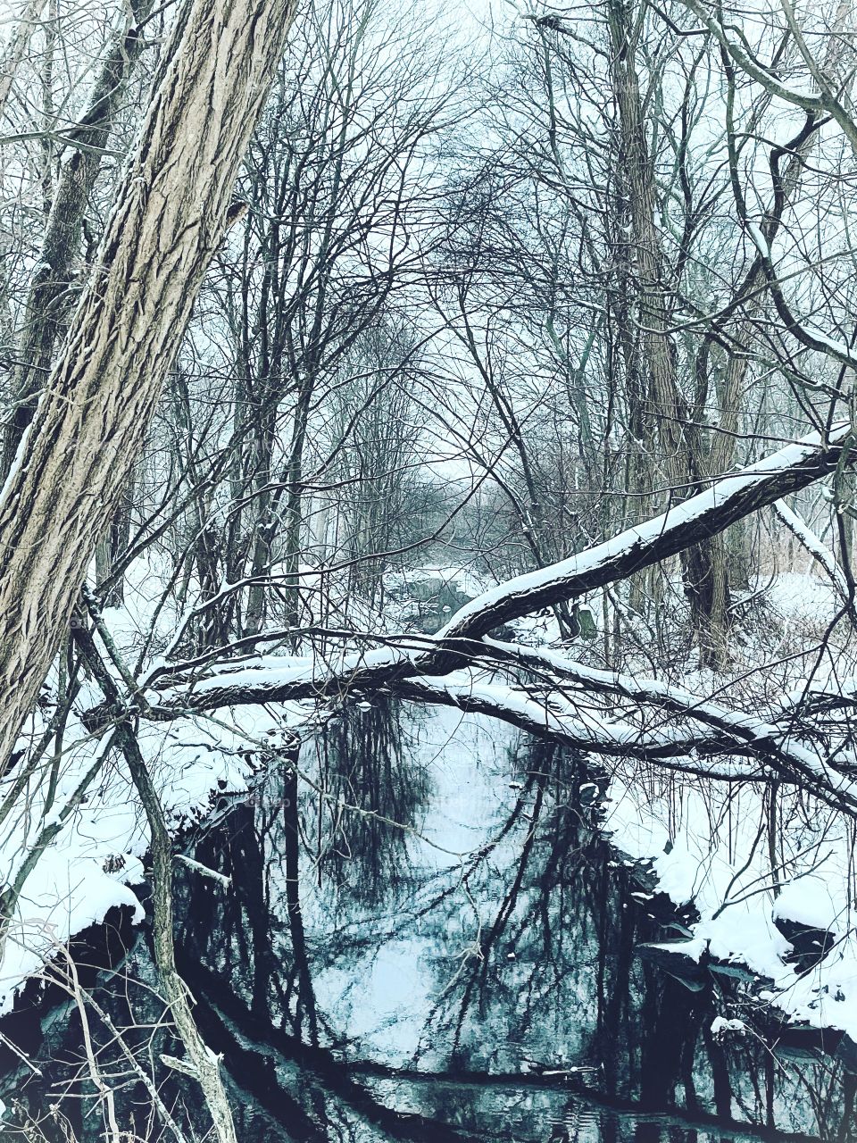 Winter wonderland in New England 