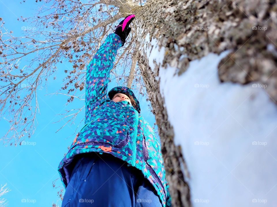 removing snow from a tree
