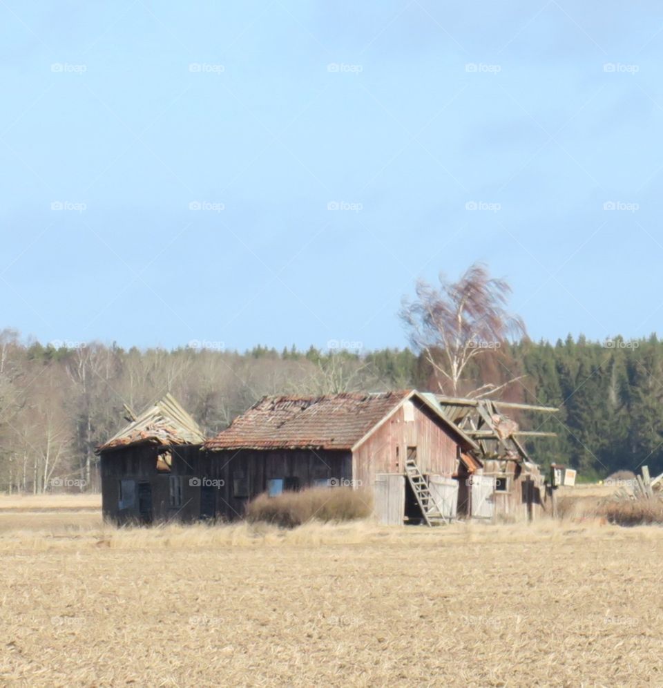 History building 