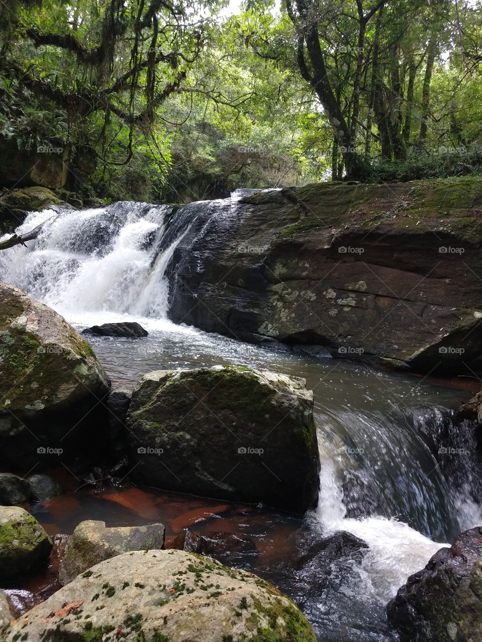 Water, Waterfall, River, Nature, Stream