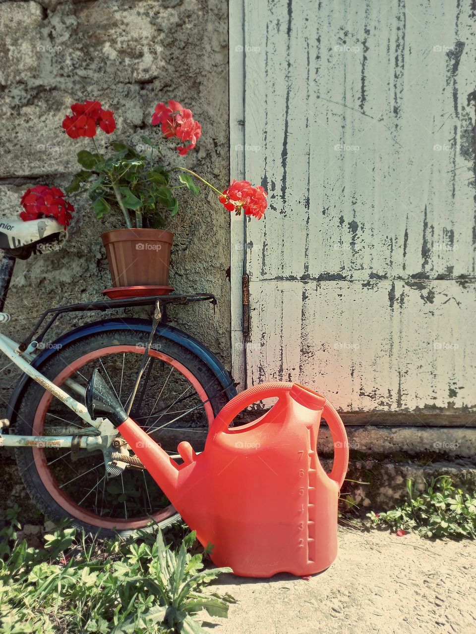 bicycle and flower in a pot.