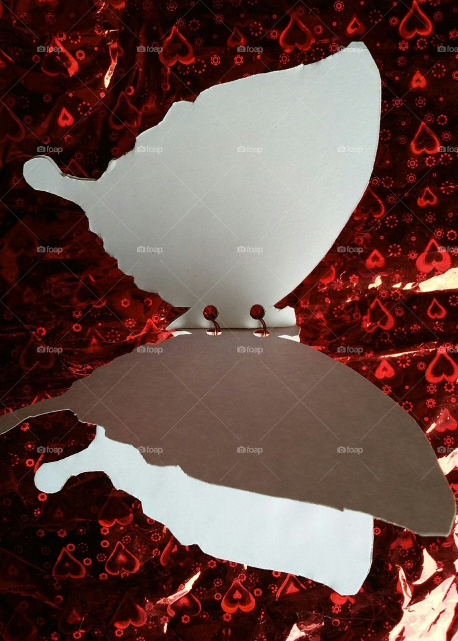 the face book of BUTTERFLY.
    it's the first book entire the worldwide on it and no one like this in the world till now