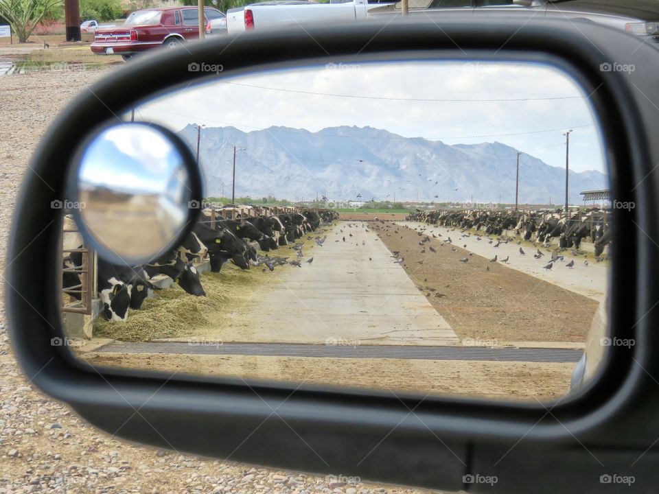 Mirror reflection