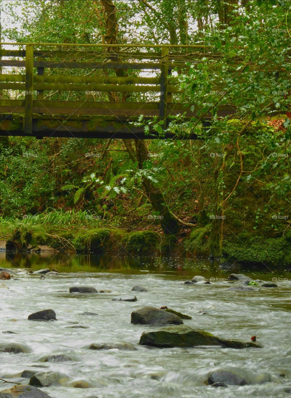 wooden bridge across the stream.