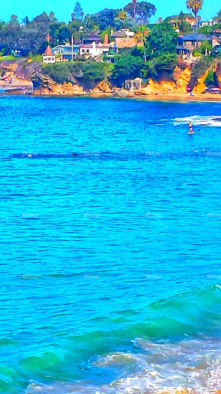 LAGUNA BEACH SEASCAPE. Homes near Hiesler Park in Laguna Beach