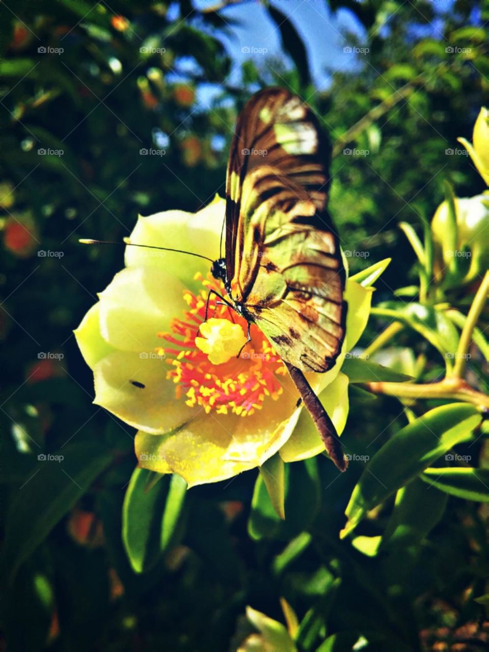 Tons de amarelo e dourado da estação