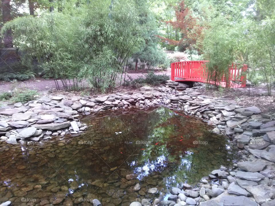 Bamboozled. Japanese Garden