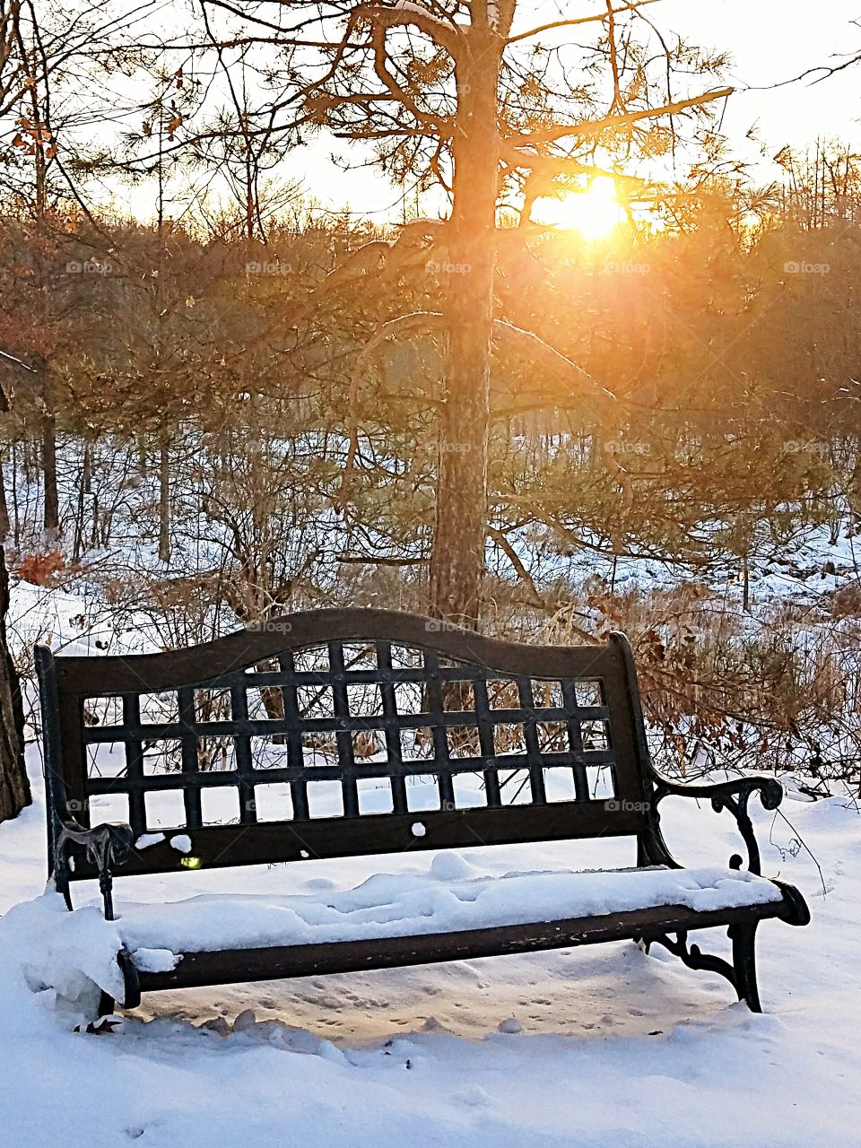 park bench in the winter at sunset