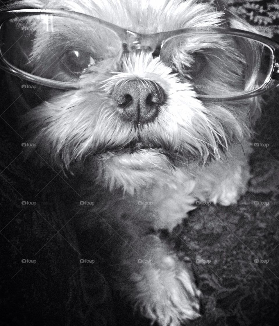 Better to See you with