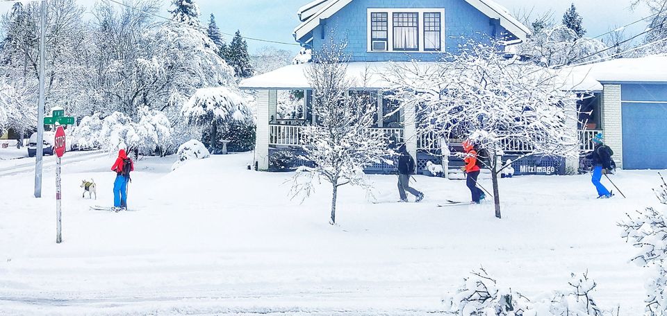 A winter snowstorm hitting  the neighborhood having people use their skis to get around.
