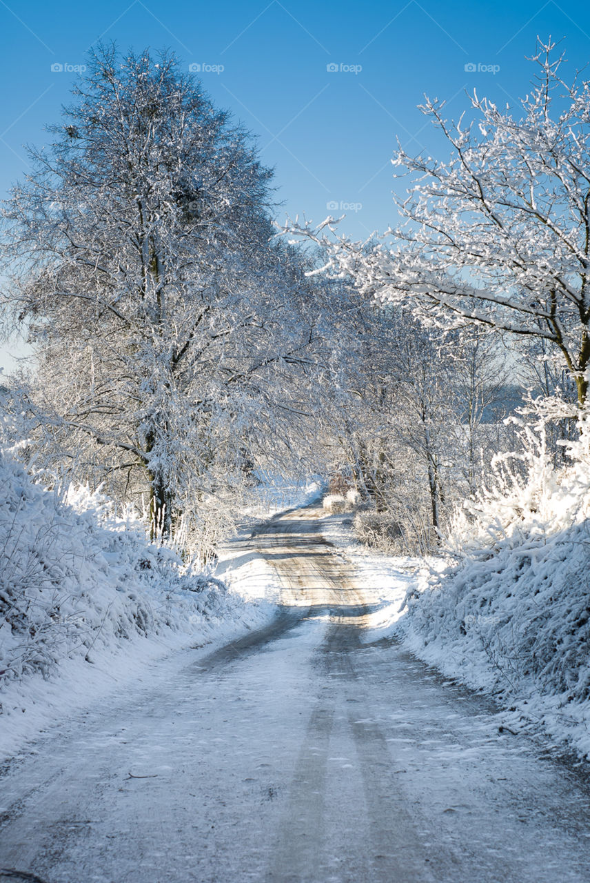 Polish Winter 