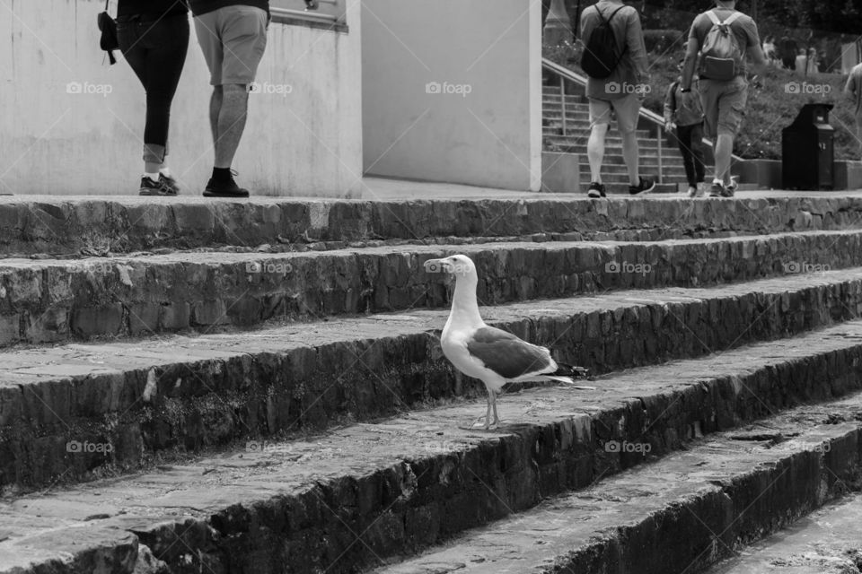 Watching the people go by