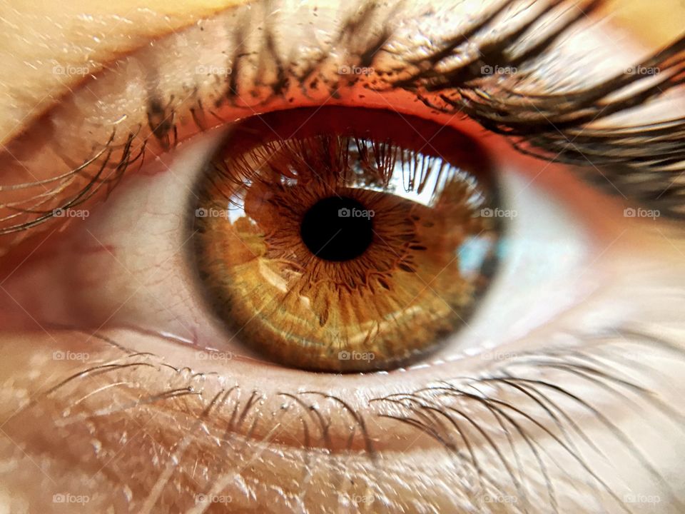 Extreme close-up of brown eyes
