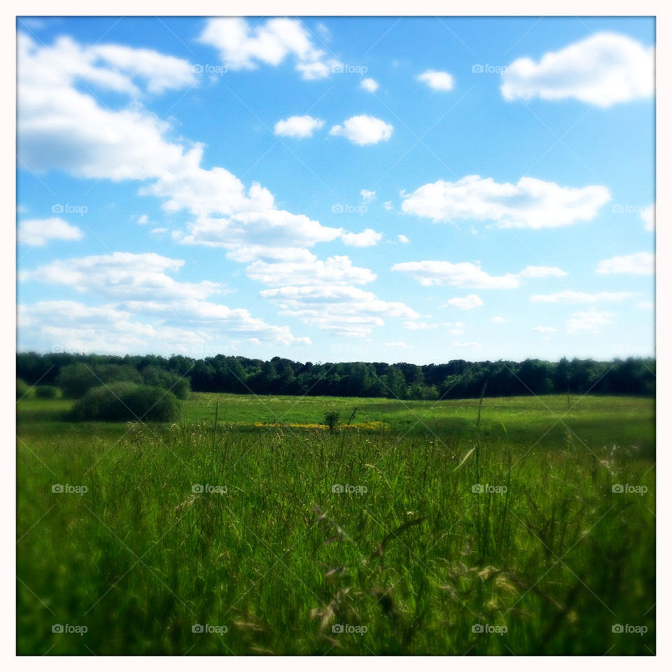 landscape sky green field by pellepelle