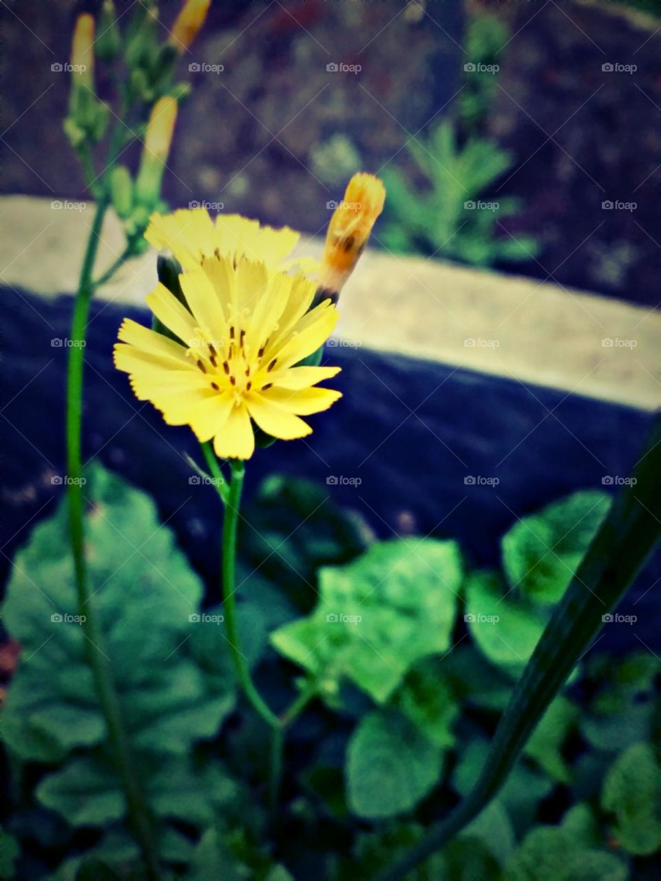 Detalhes que nem todos vêem.