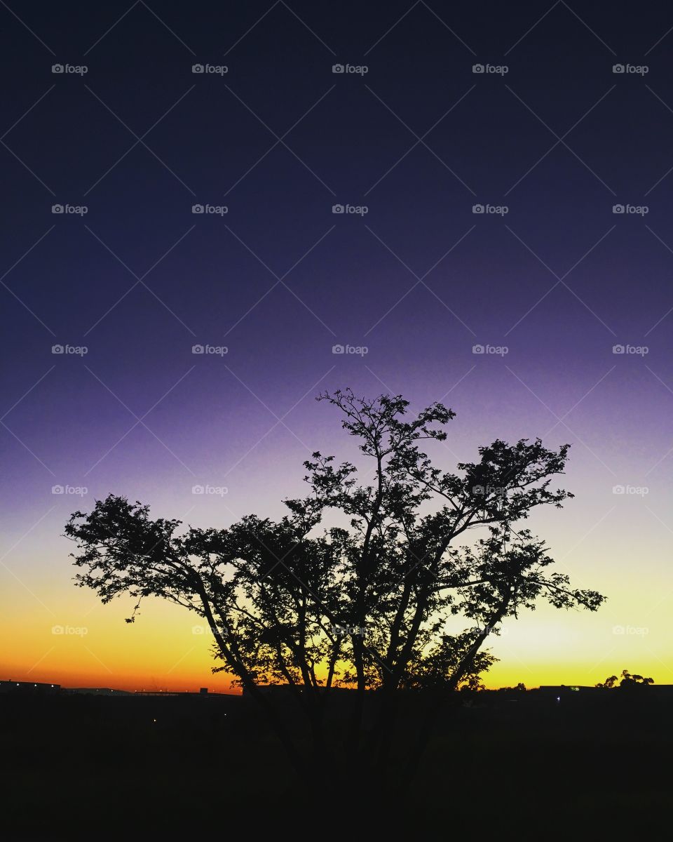 Uma paisagem incrível do amanhecer com o horizonte colorido, aqui no Brasil! Adeus 2019, que venha 2020!