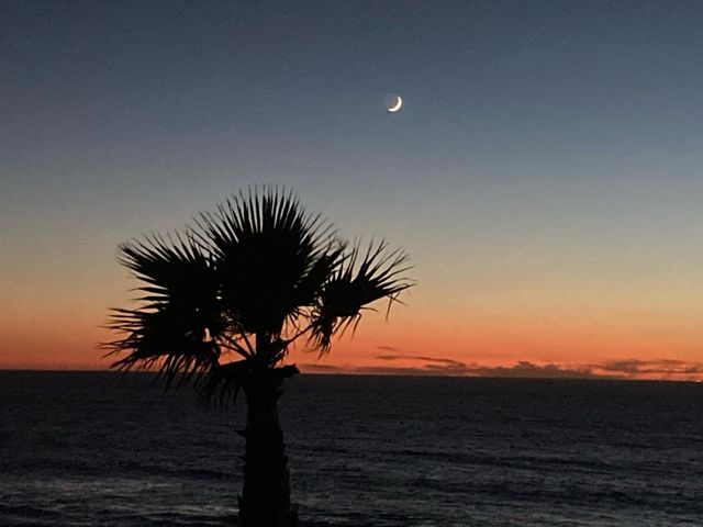 Crescent Moon at Sunset 