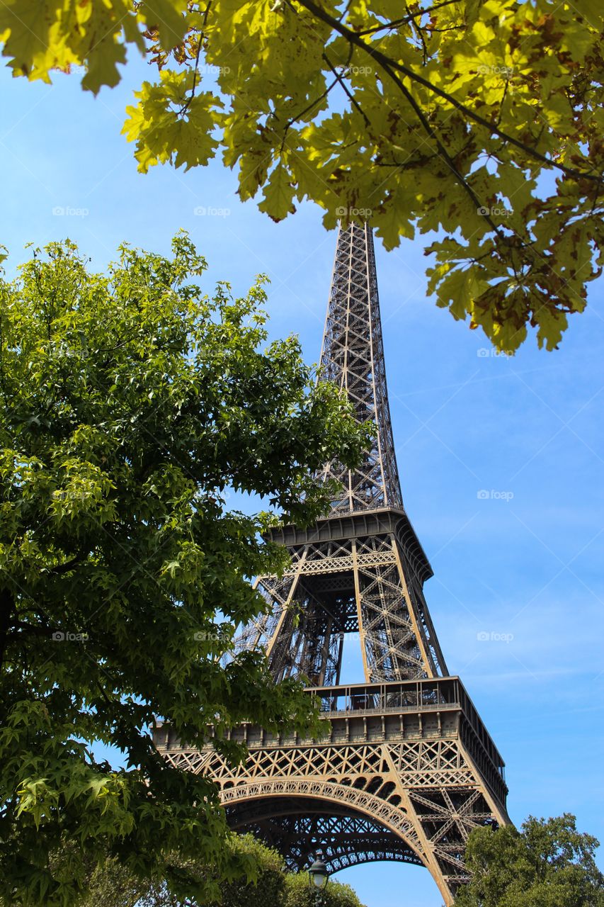 Eiffel Tower 🌕