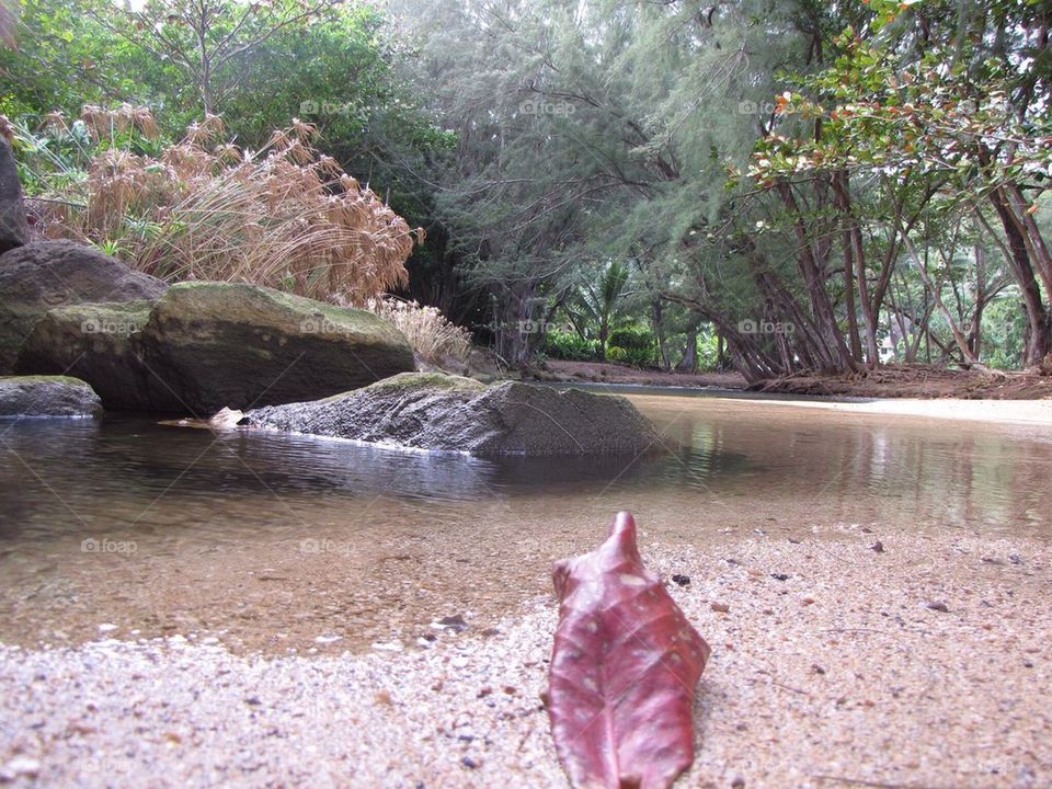 Kauai 