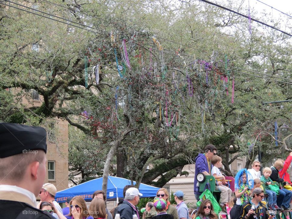 Mardi gras 