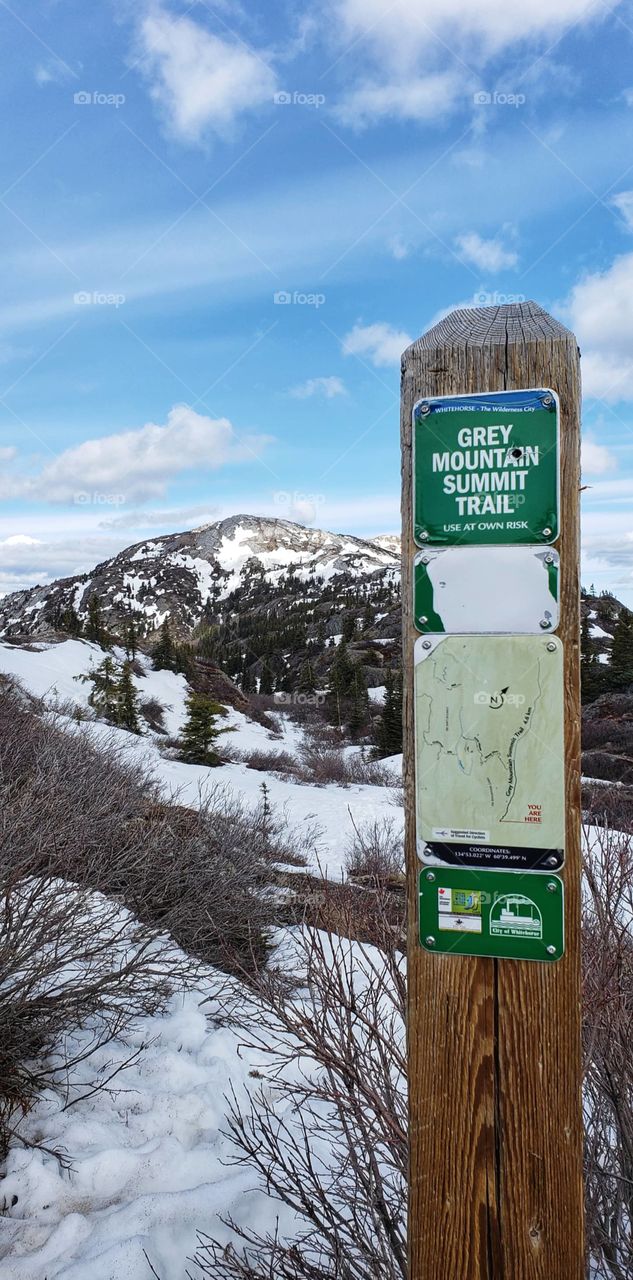 Grey mountain summit