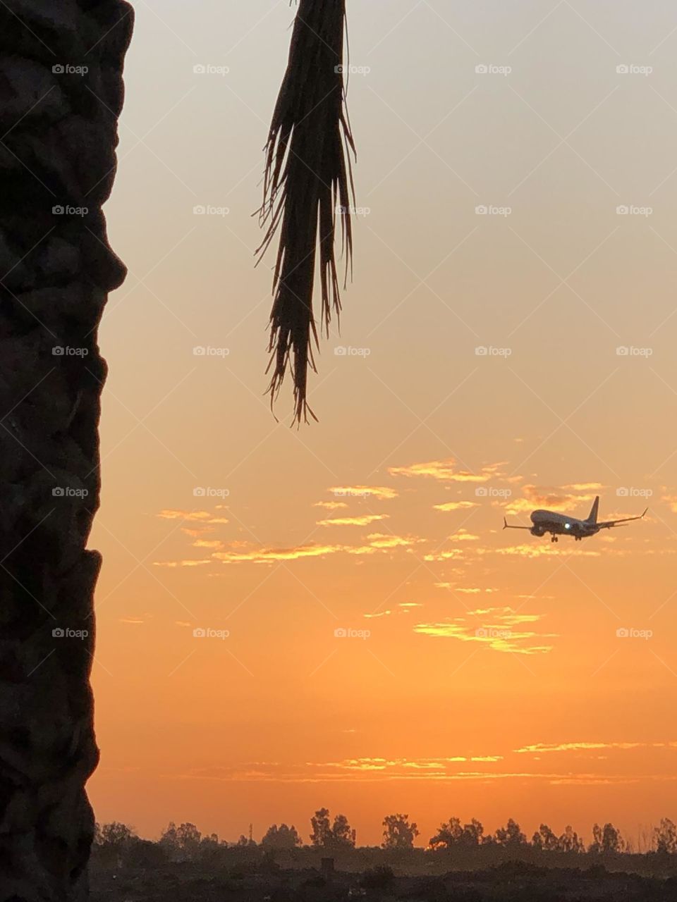 Beautiful and magic sunset with flying airplane .