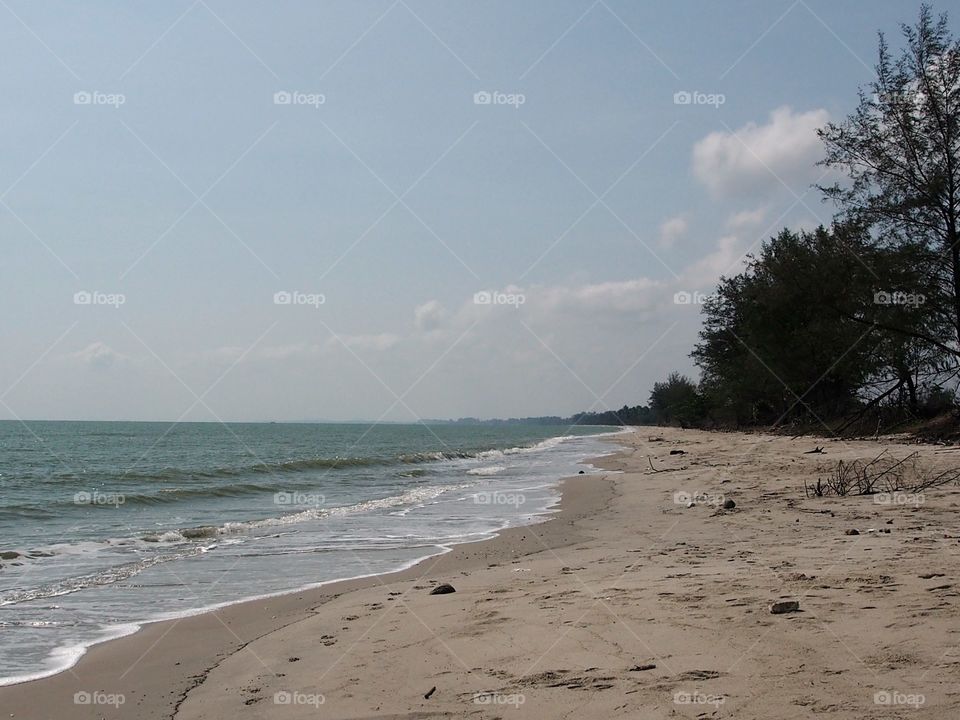 Scenic view of nature beach