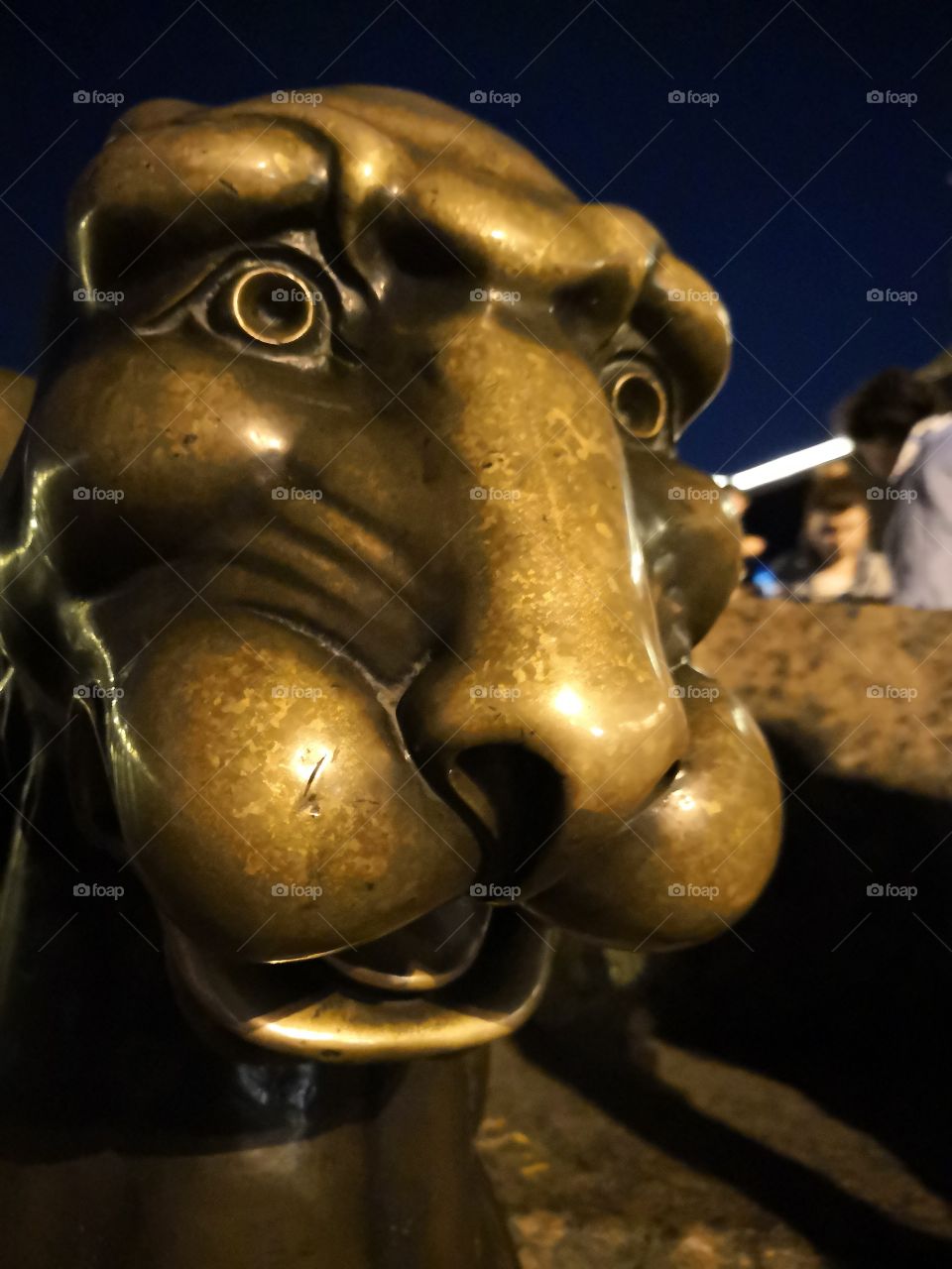 Sphinx. Neva. Saint-Petersburg