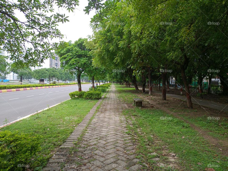 The track for pedestrian and the greenery is stoling the heart; Green plants, fresh air, healthy life that's the true wealth.